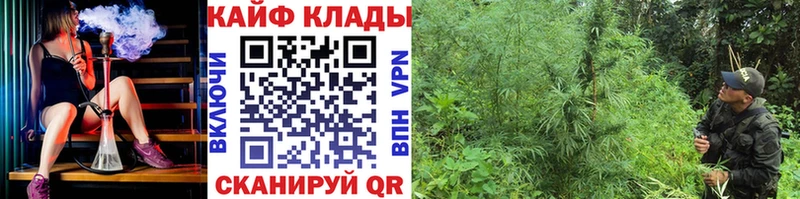 Купить закладку Малмыж ГАШ  Конопля  Галлюциногенные грибы  Alpha-PVP  Мефедрон  Cocaine  АМФ 