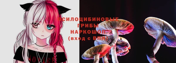 ECSTASY Белокуриха