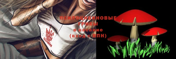 МДМА Беломорск