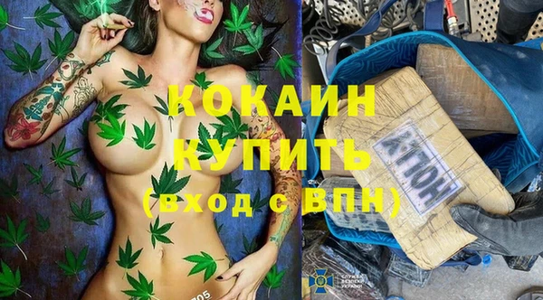 шишки Богородицк