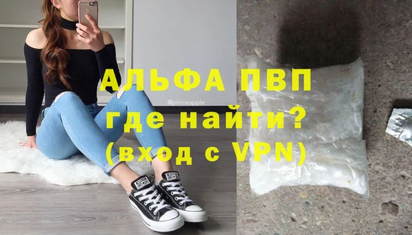 ECSTASY Белокуриха
