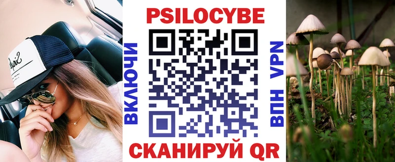 где продают   Малмыж  Галлюциногенные грибы Cubensis 